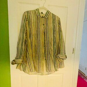 Multicolor Striped Button Down Shirt
